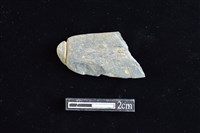 網墜藏品圖，第1張