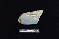 網墜藏品圖，第2張