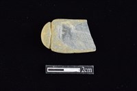 網墜藏品圖，第1張