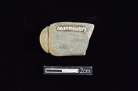 網墜藏品圖，第2張