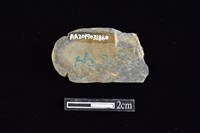 網墜藏品圖，第2張