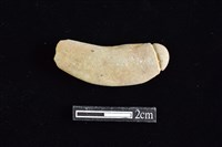 網墜藏品圖，第1張