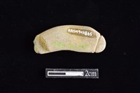 網墜藏品圖，第2張