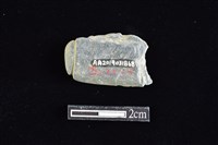 網墜藏品圖，第2張