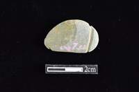 網墜藏品圖，第1張