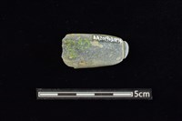 網墜藏品圖，第2張