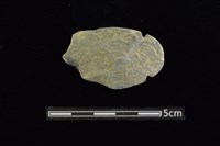 網墜藏品圖，第1張