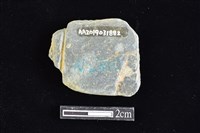 網墜藏品圖，第2張