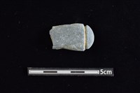 網墜藏品圖，第1張