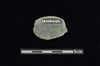 網墜藏品圖，第2張