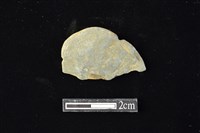 網墜藏品圖，第1張