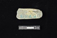 網墜藏品圖，第2張