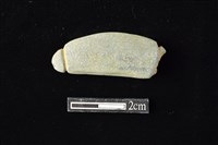 網墜藏品圖，第1張