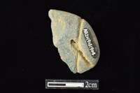 網墜藏品圖，第1張