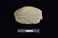 網墜藏品圖，第1張