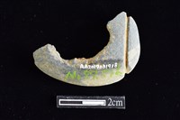 網墜藏品圖，第2張