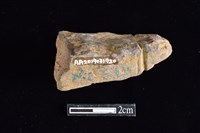 網墜藏品圖，第2張