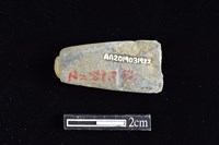 網墜藏品圖，第2張