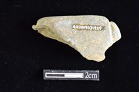 網墜藏品圖，第2張