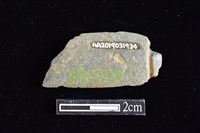 網墜藏品圖，第1張