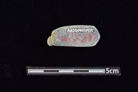 網墜藏品圖，第2張