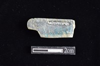 網墜藏品圖，第2張