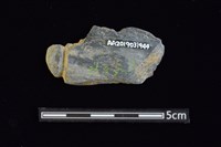 網墜藏品圖，第2張