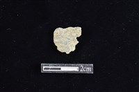 網墜藏品圖，第2張