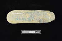 網墜藏品圖，第2張