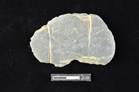 網墜藏品圖，第1張