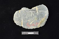 網墜藏品圖，第2張