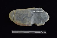 網墜藏品圖，第2張