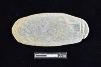 網墜藏品圖，第1張