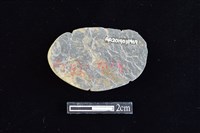 網墜藏品圖，第2張