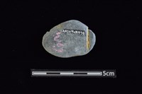 網墜藏品圖，第2張