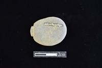 網墜藏品圖，第2張