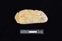 網墜藏品圖，第2張