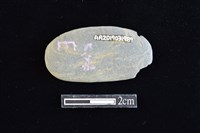 網墜藏品圖，第2張