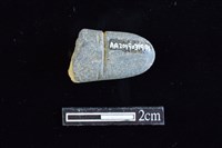 網墜藏品圖，第2張