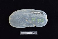 網墜藏品圖，第2張