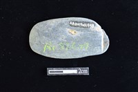 網墜藏品圖，第2張