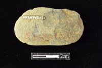 網墜藏品圖，第2張