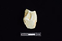 錛鑿形器藏品圖，第1張