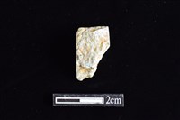 錛鑿形器藏品圖，第1張