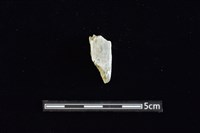 錛鑿形器藏品圖，第1張