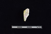 錛鑿形器藏品圖，第2張