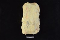 斧鋤形器藏品圖，第2張