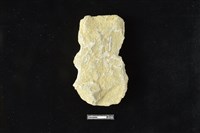 斧鋤形器藏品圖，第2張