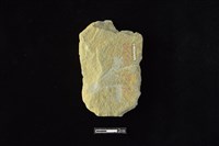 斧鋤形器藏品圖，第2張