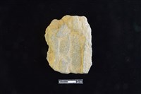 斧鋤形器藏品圖，第1張